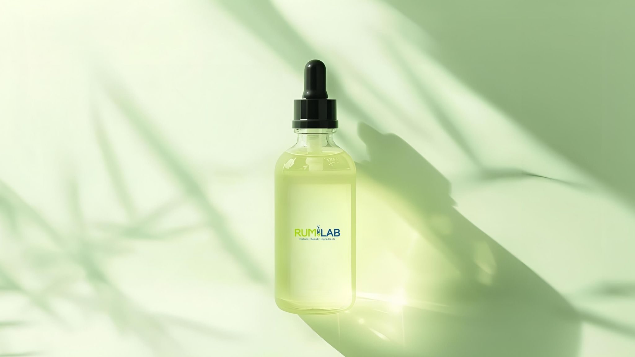 Aloe Vera Inner Gel Decolorized 1x