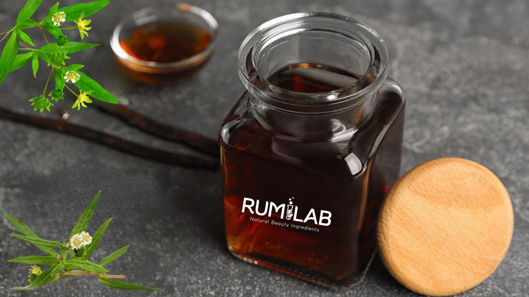 Eclipta Alba Extract (1)