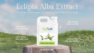 Eclipta Alba Extract