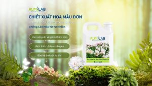 Xanh Lá Vàng Sang Trọng Thiên Nhiên Mỹ Phẩm đăng Instagram