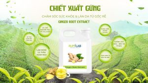 Chiet Xuat Gung Website