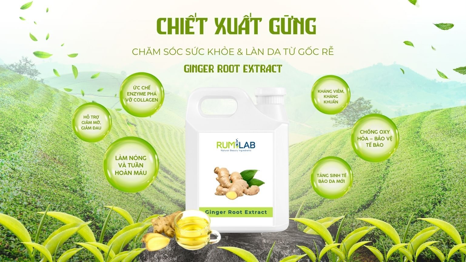 Chiet Xuat Gung Website