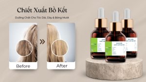 Chiết Xuất Bồ Kết (1)