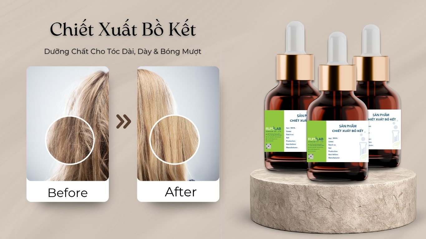 Chiết Xuất Bồ Kết (1)