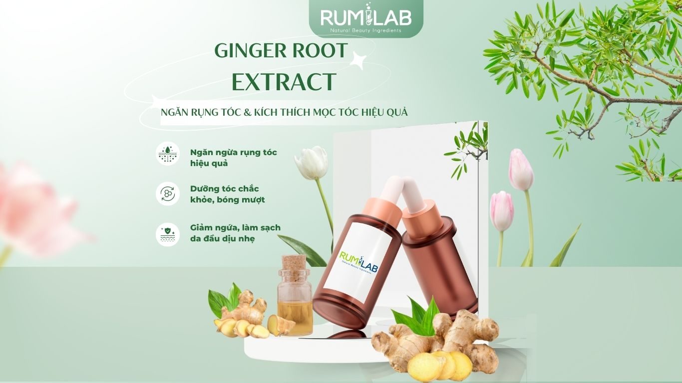 Ginger Root Extract