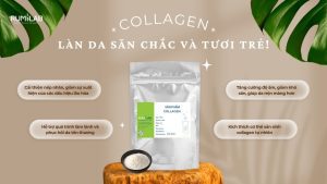 Collagen (1)