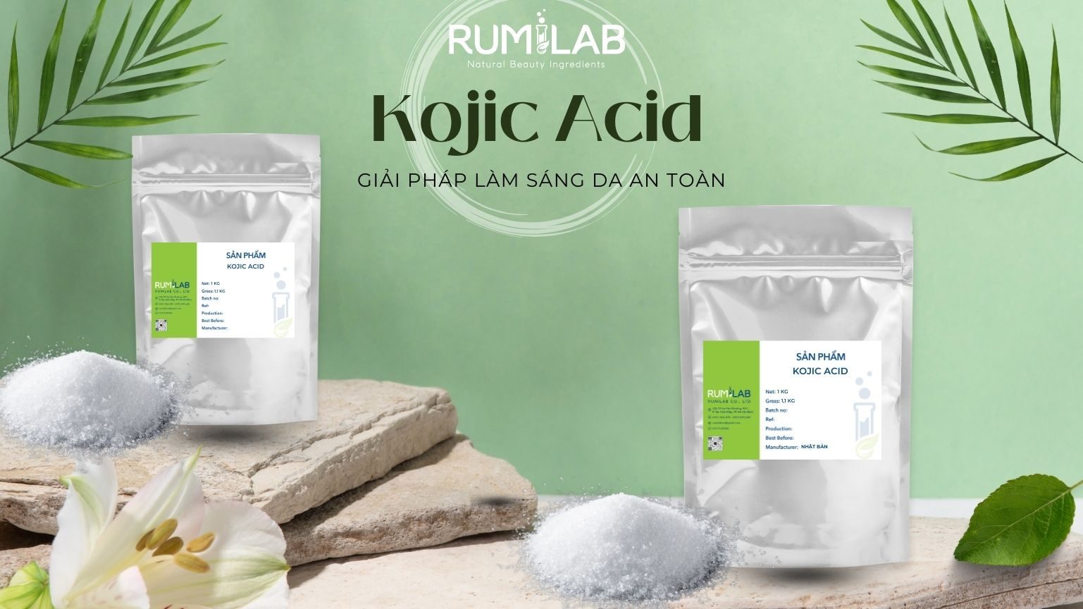 Kojic Acid – Giải Pháp Làm Sáng Da An Toàn