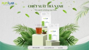 Chiết xuất trà xanh: "Trà xanh chống oxy hóa"