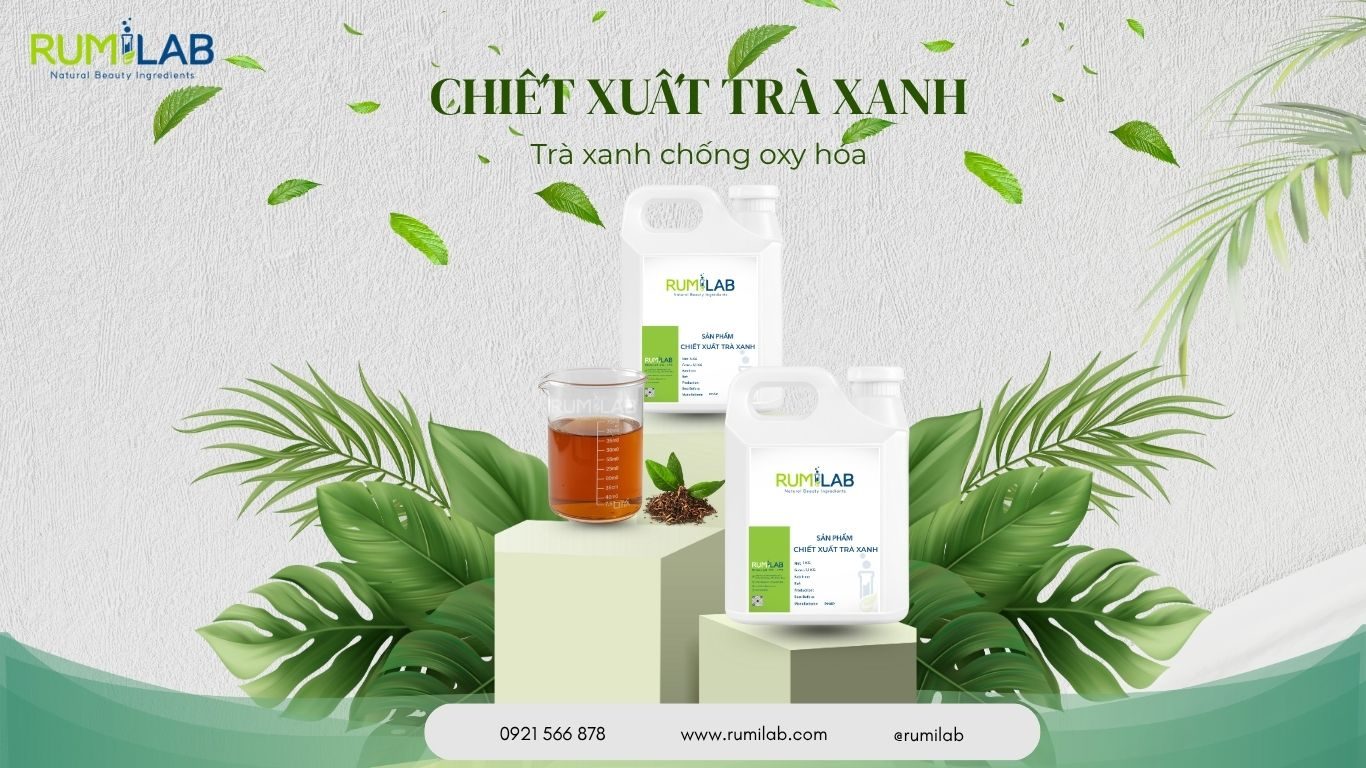 Chiết xuất trà xanh: "Trà xanh chống oxy hóa"
