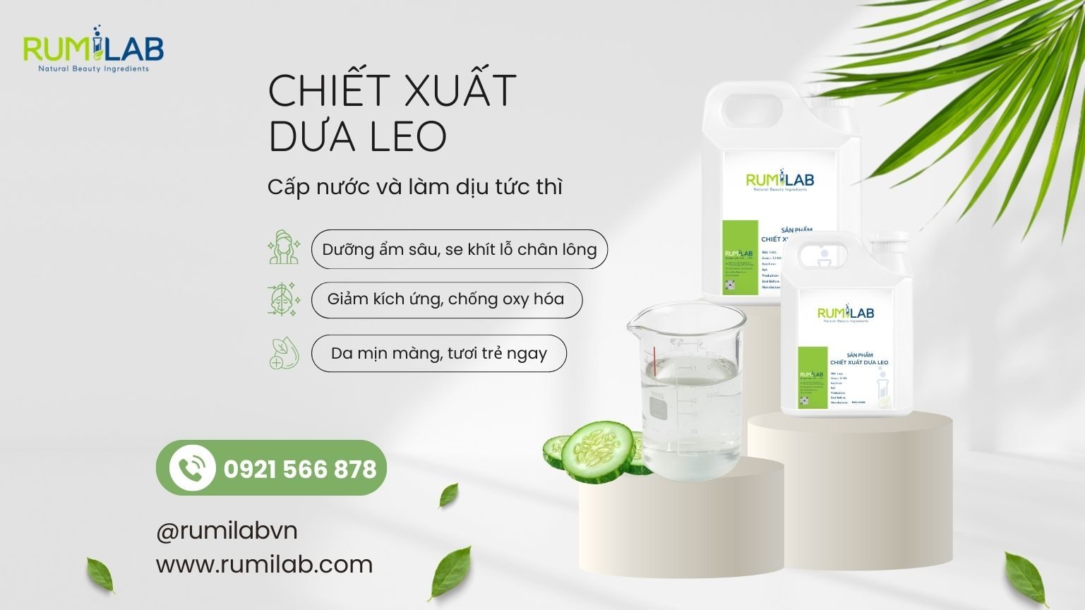 Chiết xuất dưa leo