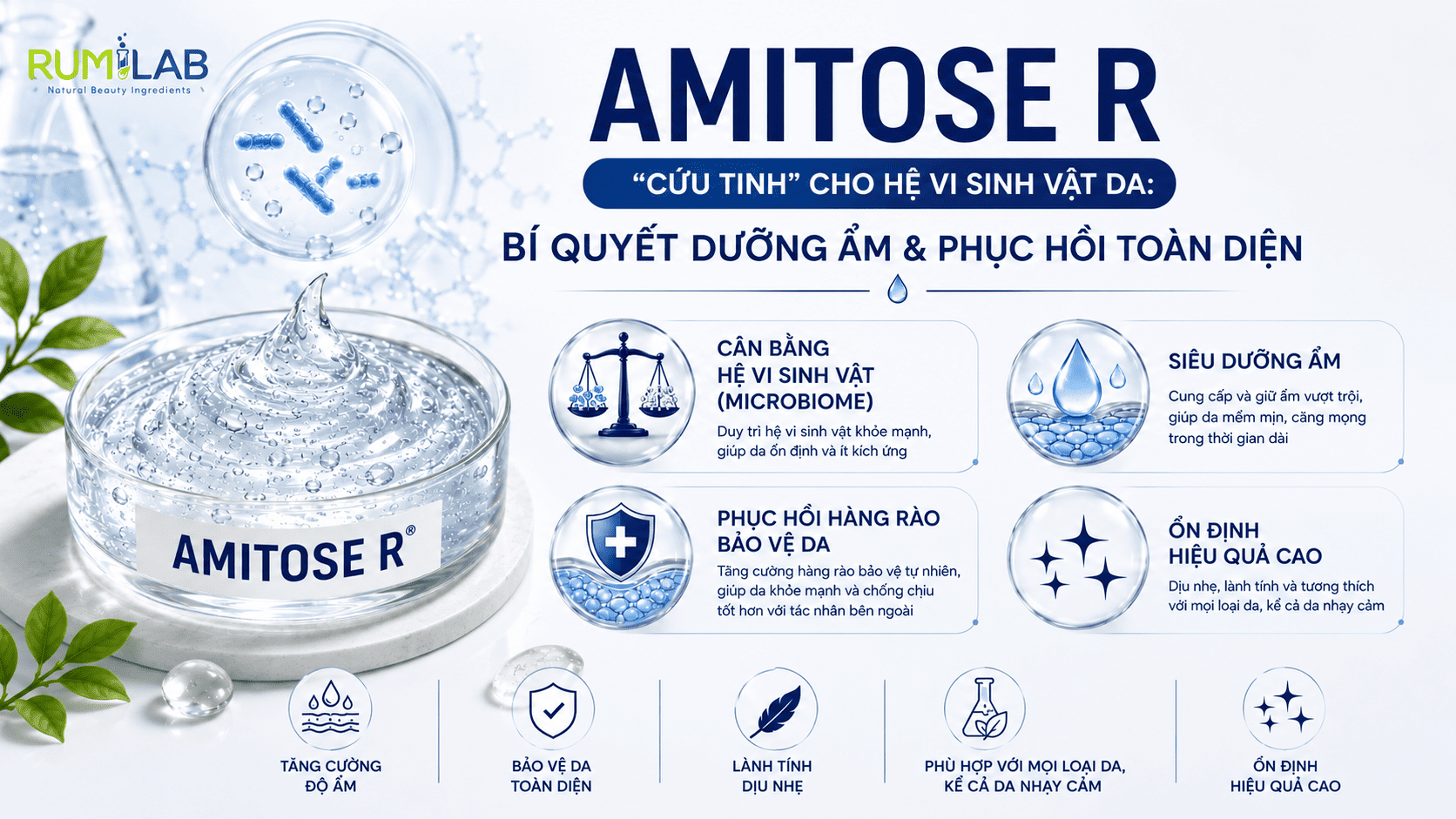 Amitose 1