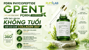 Pdrn1