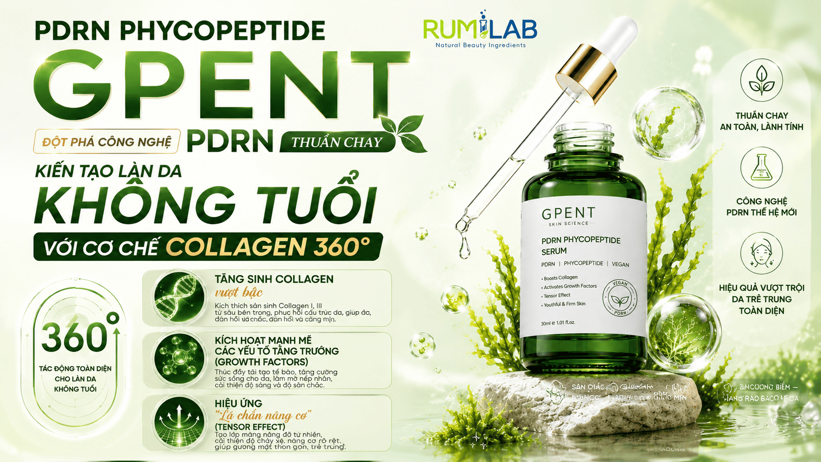 Pdrn1